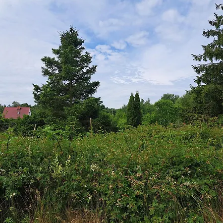 Wyspa Karsibór Apartamento *
